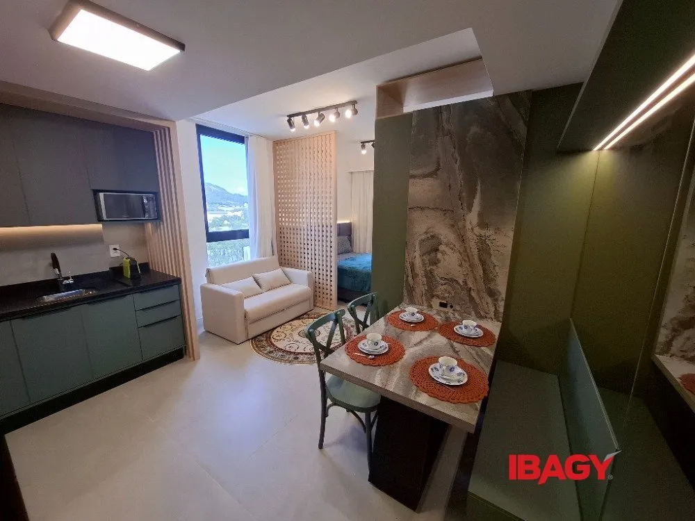 Furnished studio with a glass-enclosed balcony — photo 53