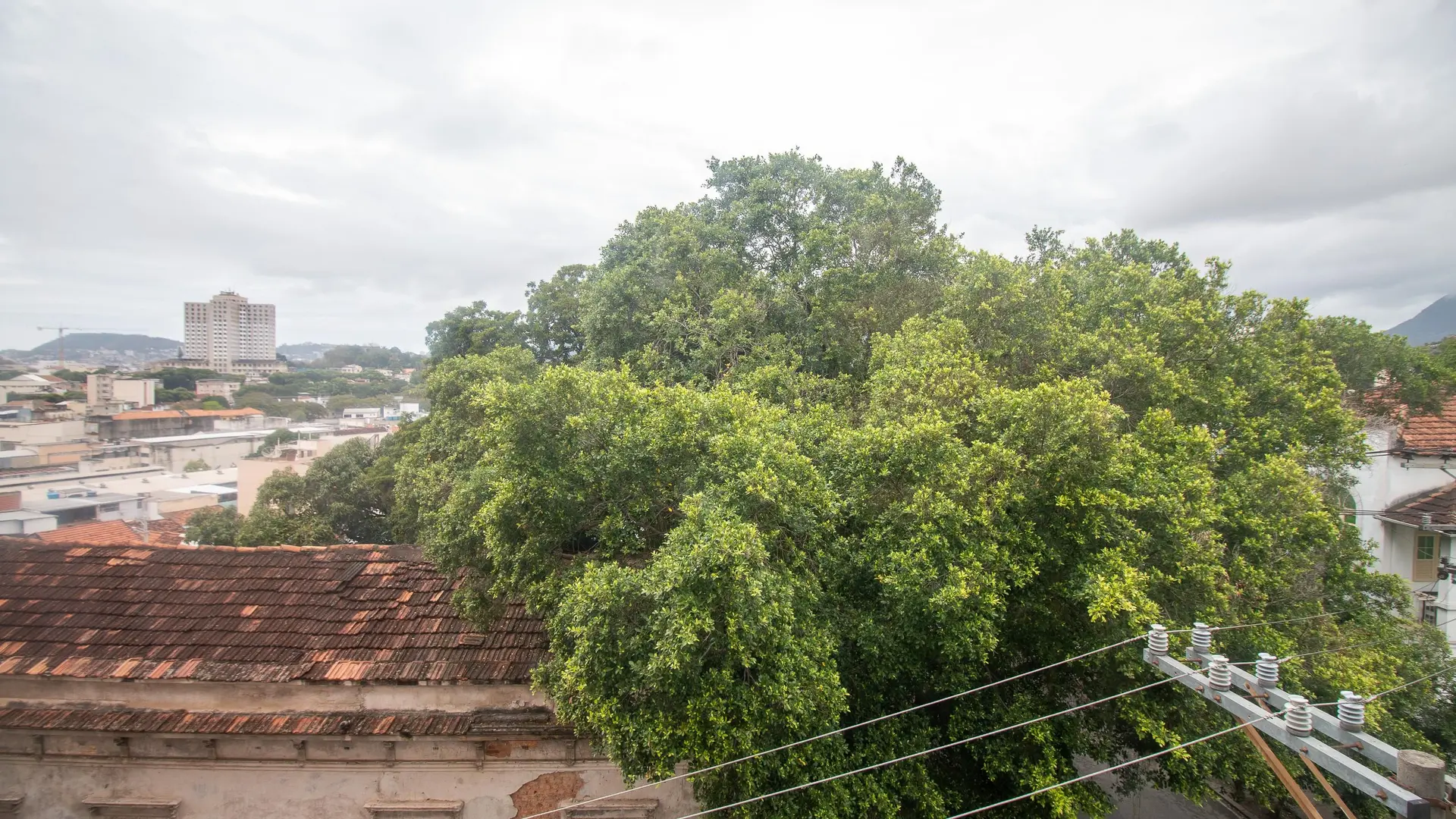 Departamento con vista al parque en Rio de Janeiro — photo 13