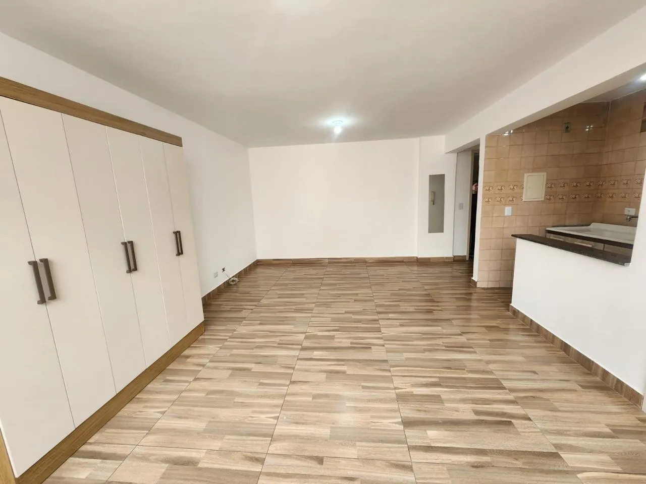 41 m² studio with open-plan kitchen and 1 bedroom — photo 9