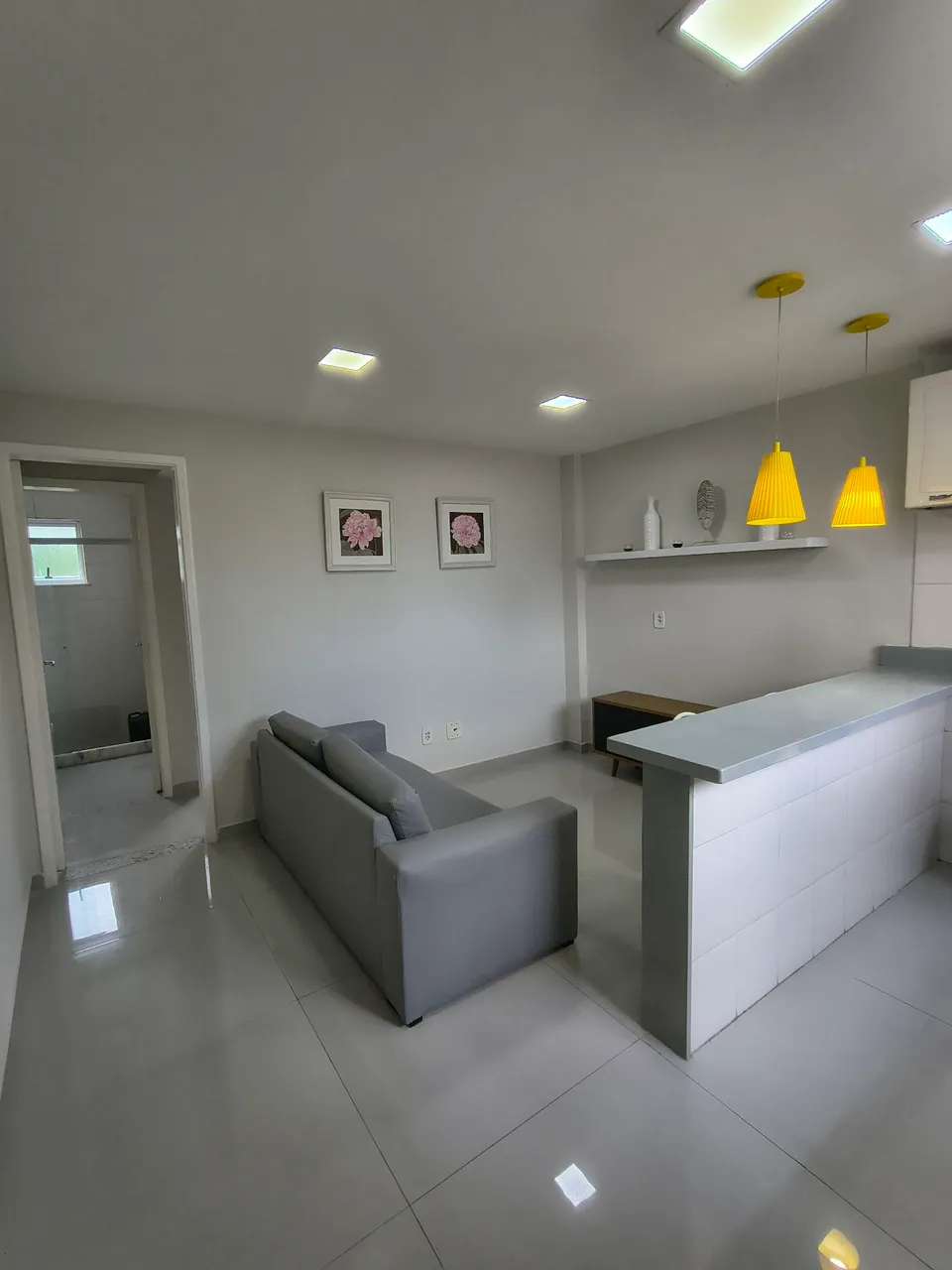 Furnished 1-bedroom apartment with open-plan gas kitchen