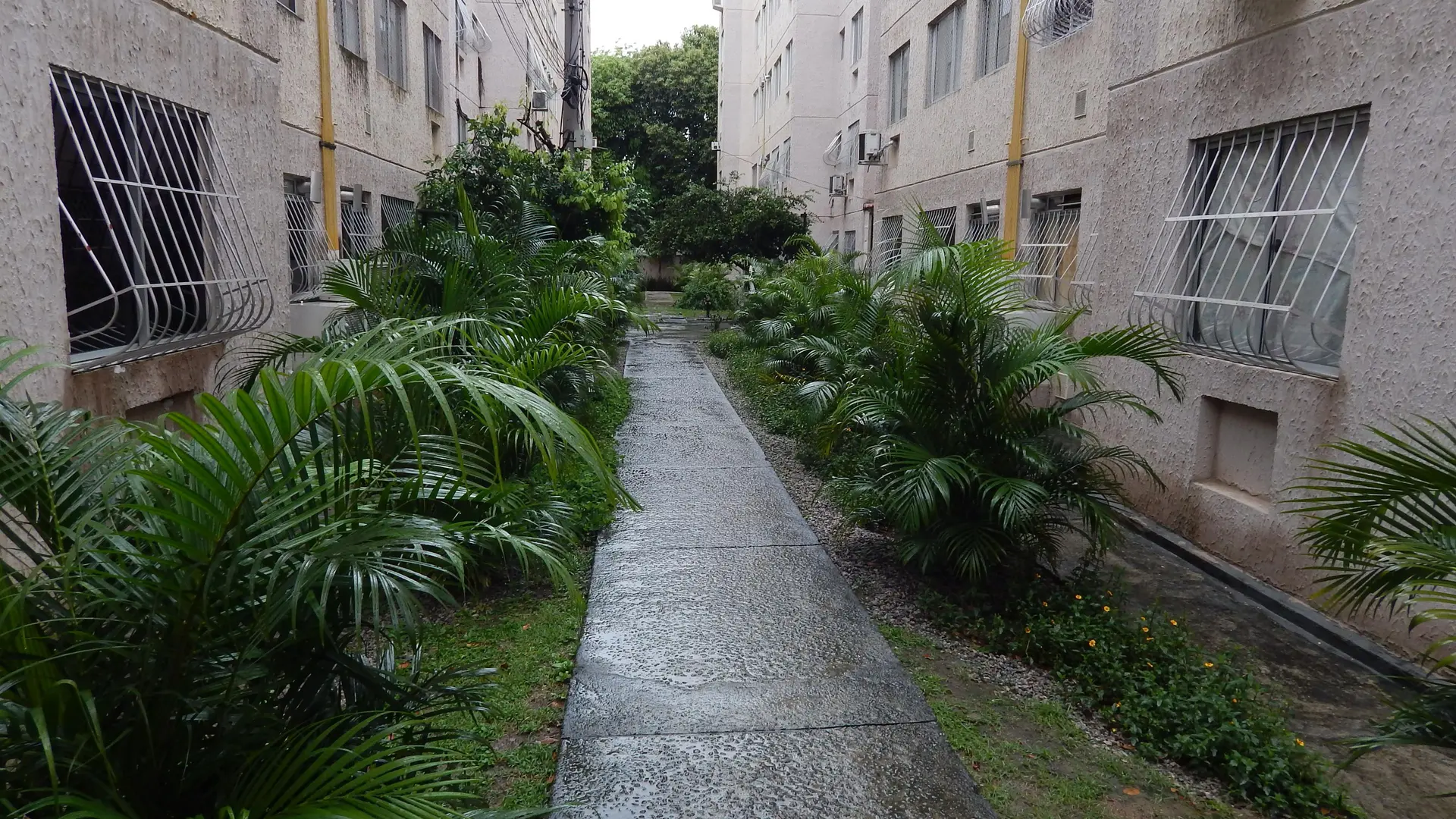 Furnished 2-bedroom, 50 m² apartment in Rio de Janeiro — photo 18