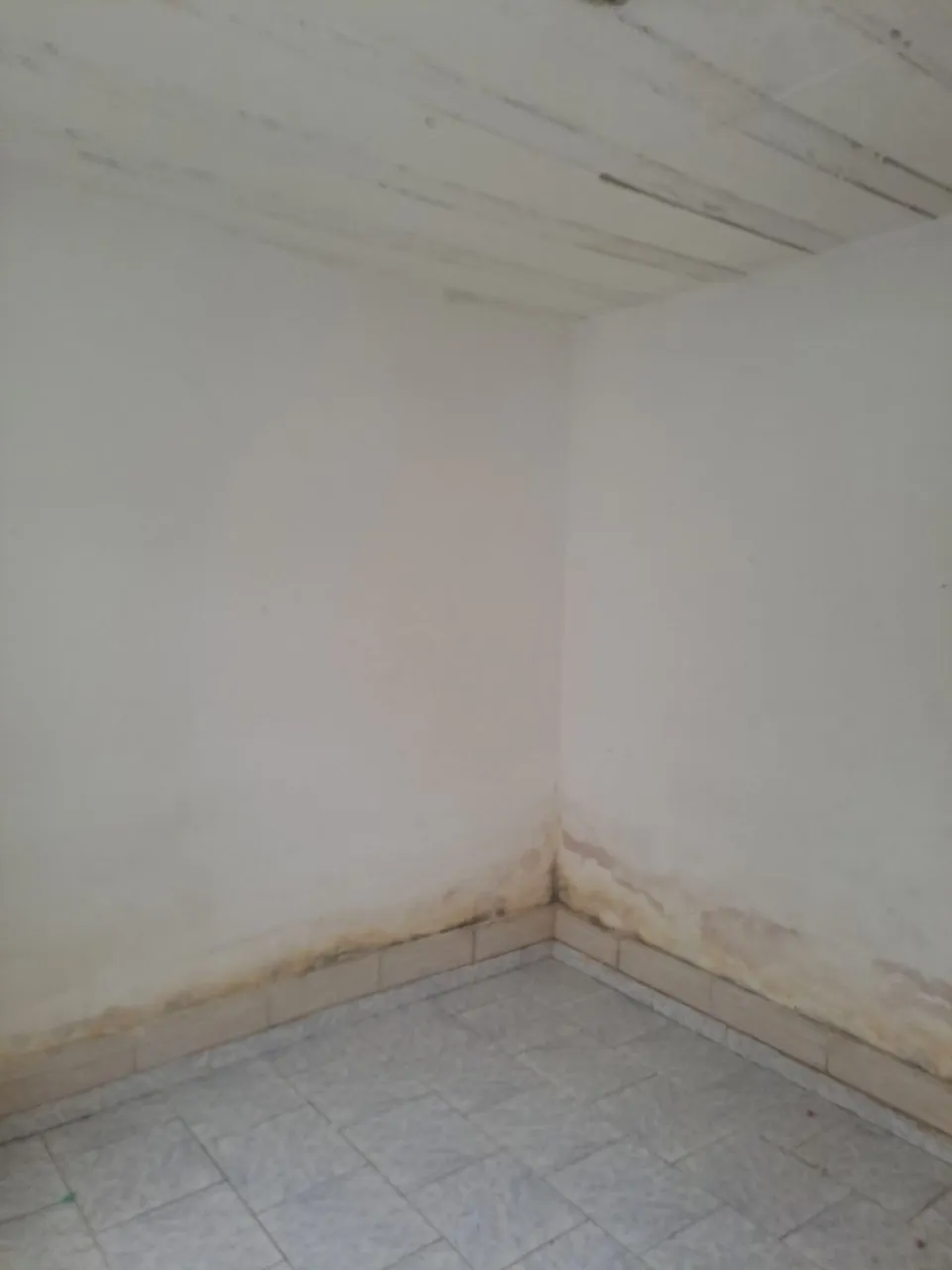 Casa de 25 m² e 1 quarto, Campo Grande — photo 12