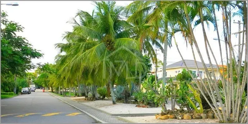 Furnished house with 5 bedrooms and a closed kitchen — photo 2