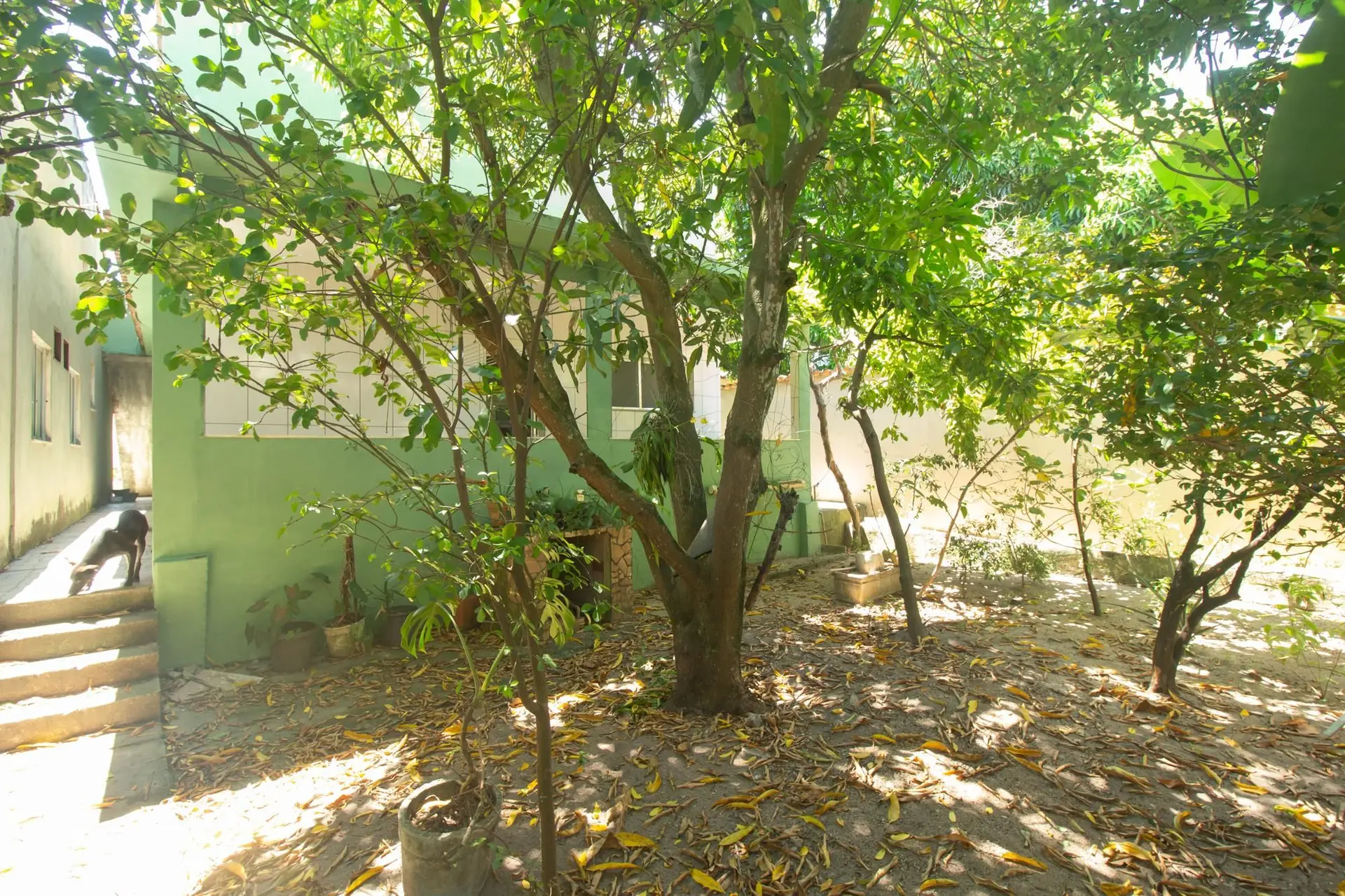 House for rent with 5 bedrooms and BBQ on the balcony — photo 82