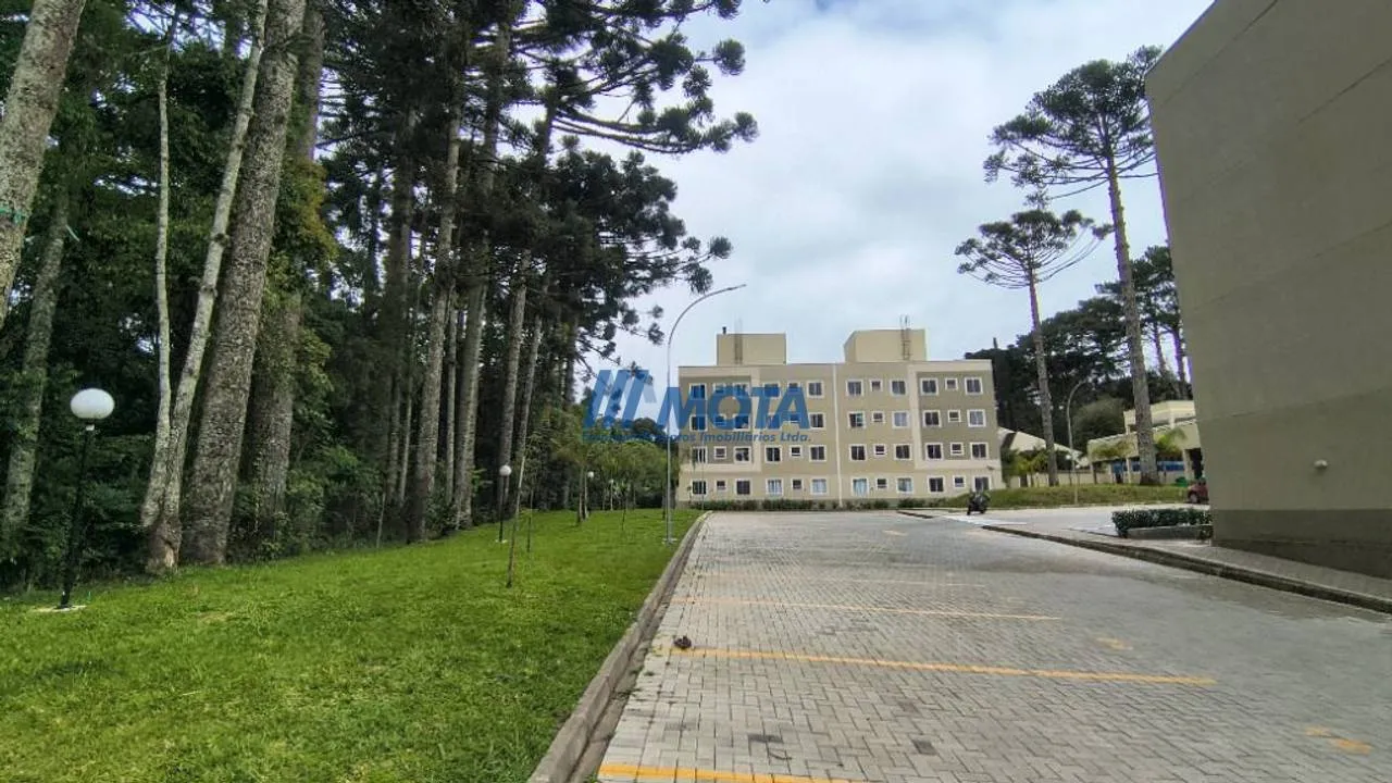 Власне барбекю та 2 спальні: квартира 41 м² — photo 29
