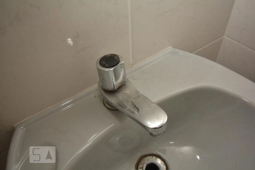 2-bedroom apartment with a mountain view in Rio de Janeiro — photo 45