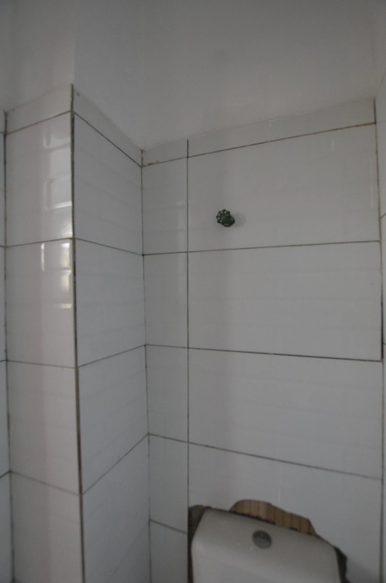 3-bedroom apartment with a mountain view in Rio de Janeiro — photo 49