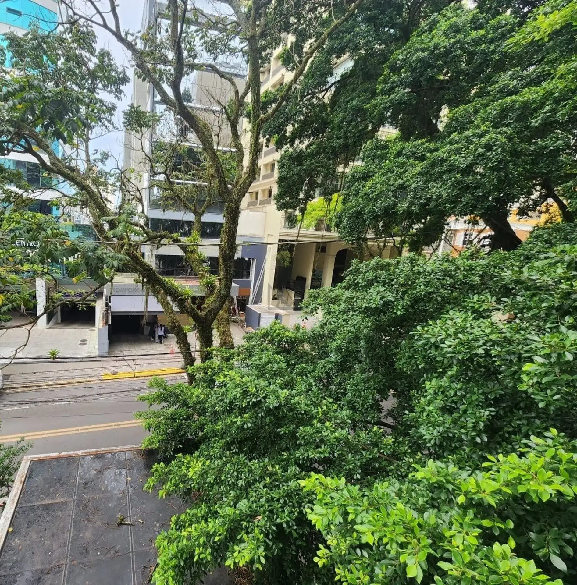 Departamento con ventanales de piso a techo en Florianópolis — photo 36