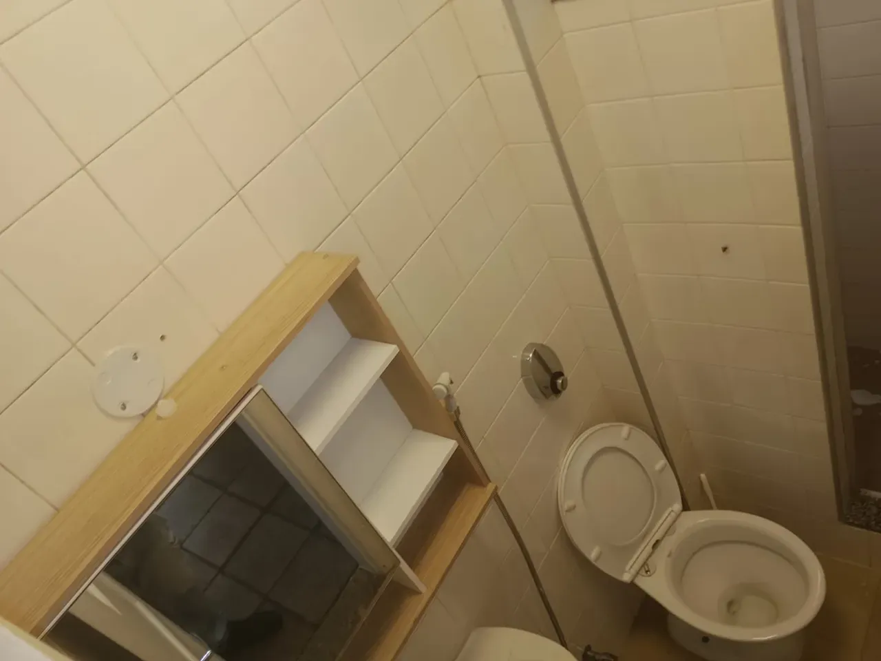 3-bedroom apartment with a washing machine in Rio de Janeiro — photo 70
