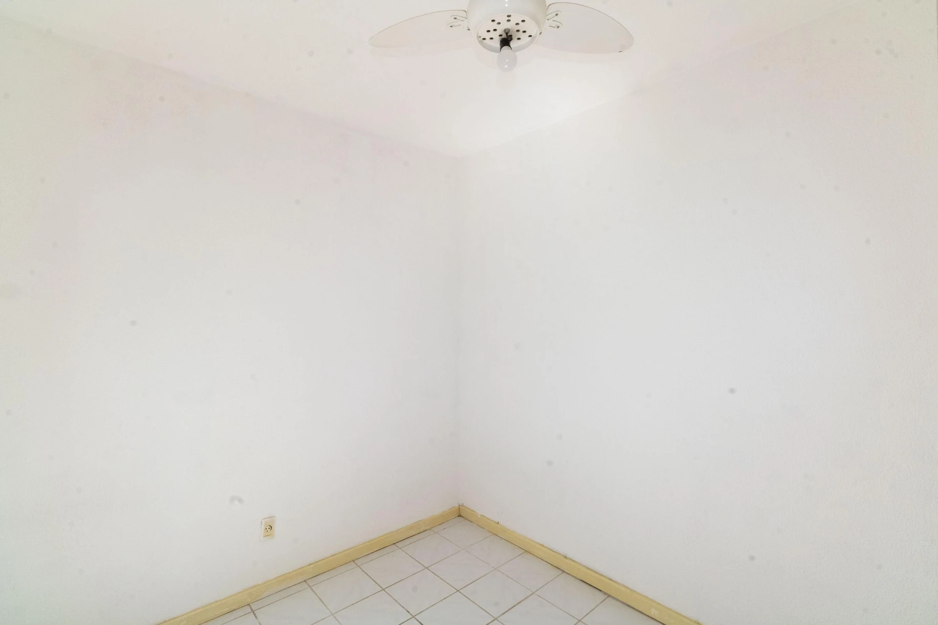Casa sem mobília com 3 quartos e animais permitidos — photo 31
