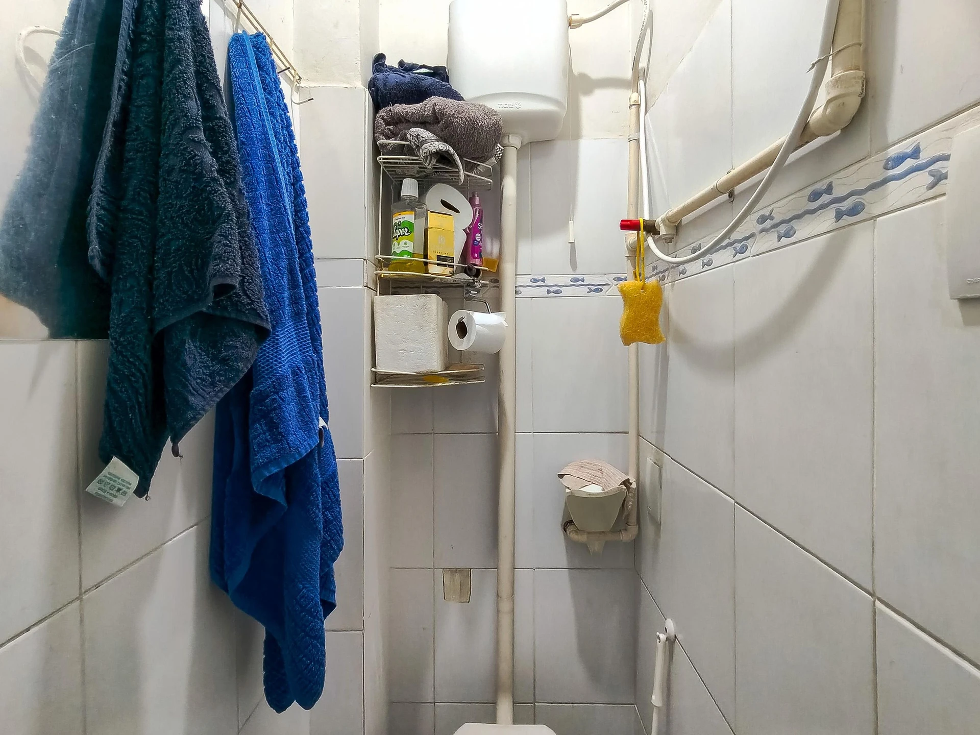 Furnished apartment with 1 en-suite and 2 bathrooms — photo 21