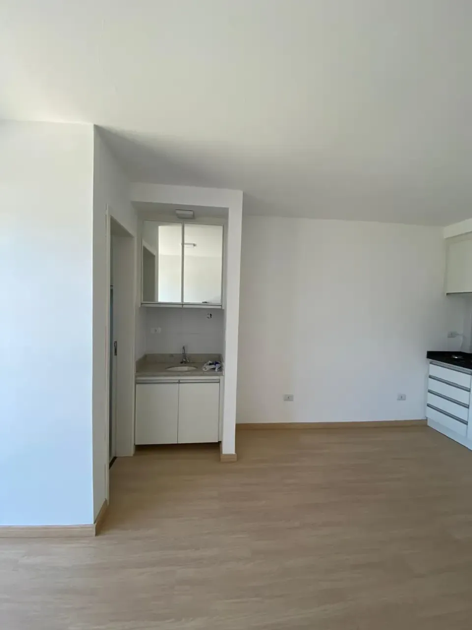 1-bedroom apartment with an open-plan kitchen — photo 6