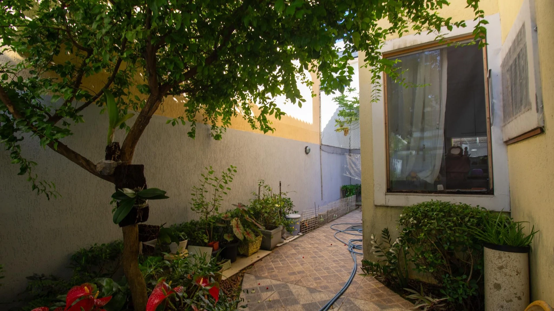Furnished house with 4 bedrooms and private garden — photo 3