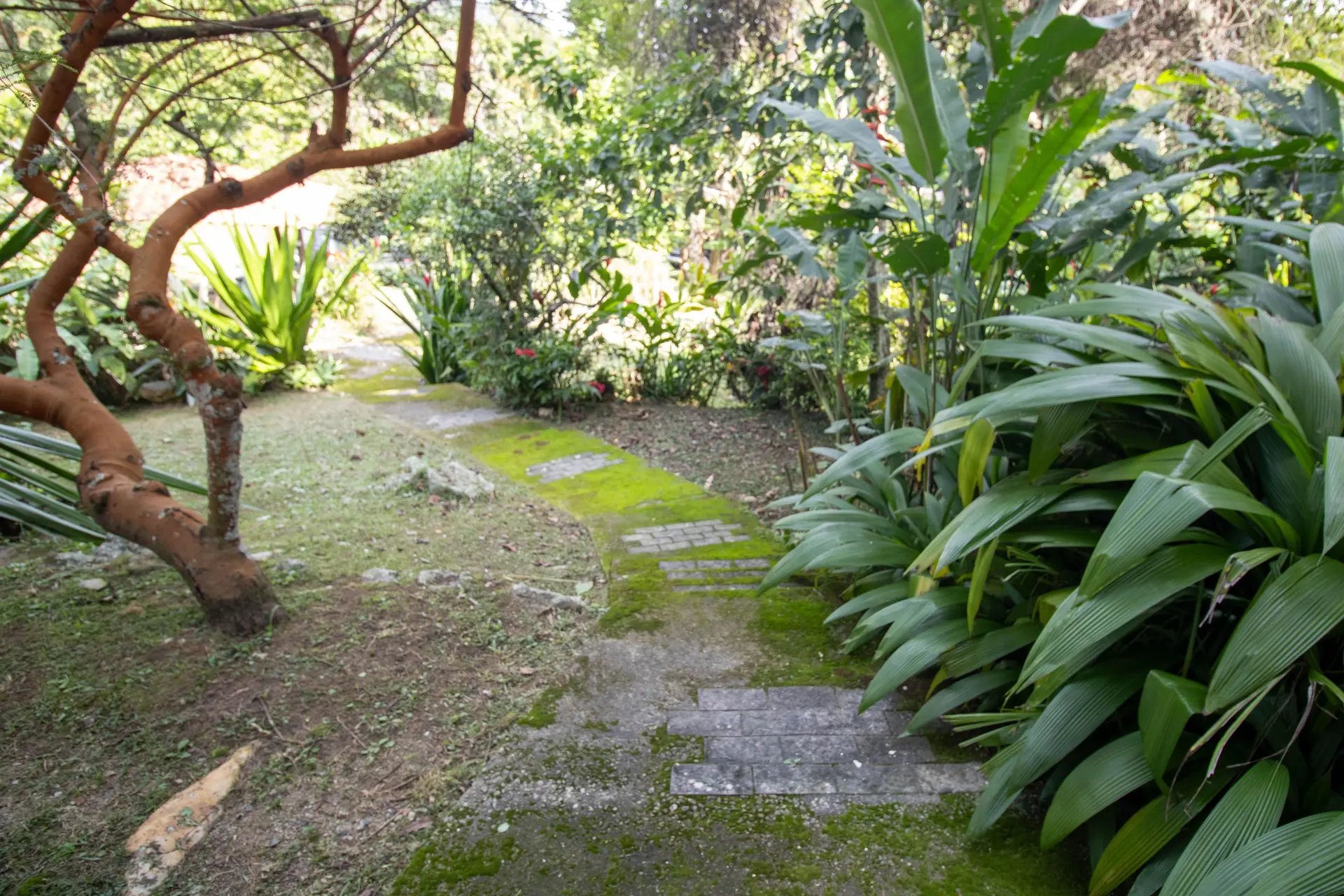 Furnished house with 4 bedrooms and balcony BBQ — photo 15