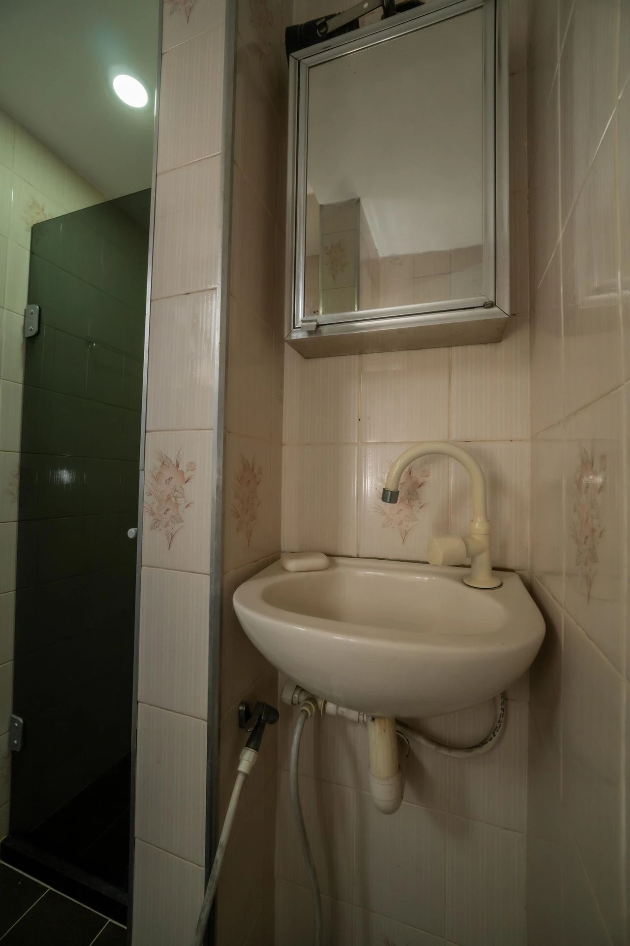 Garden in a 3-bedroom house, 200 m² — photo 22