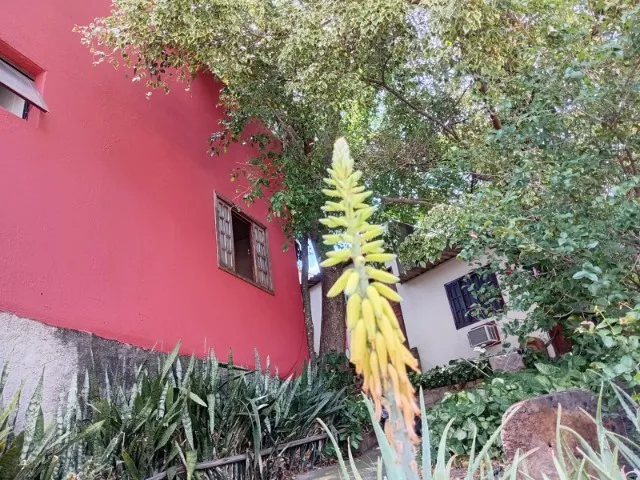 Studio conjugado sem vaga, com 1 quarto e 1 banheiro — photo 11