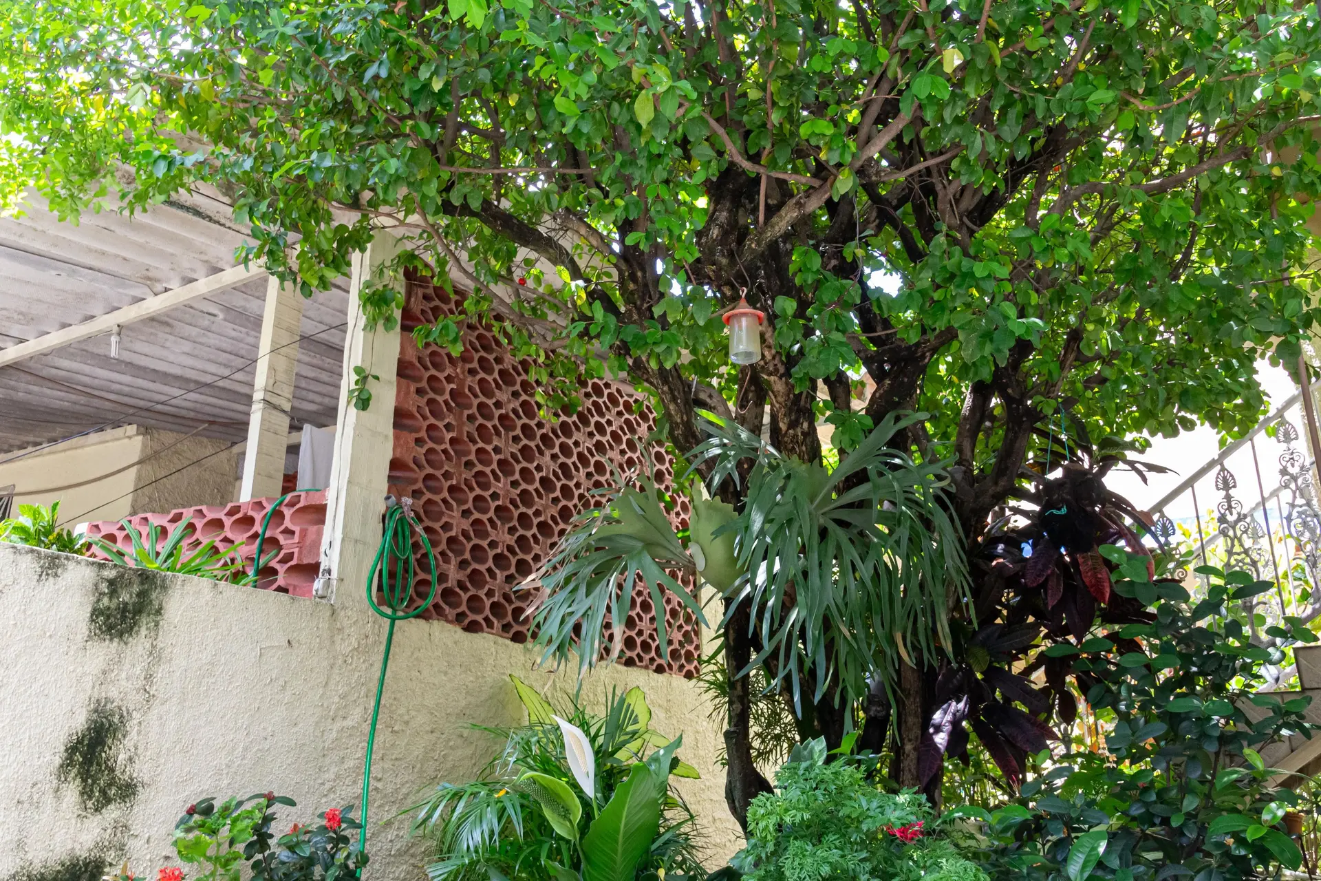 Casa com 3 quartos, 3 banheiros e jardim privativo — photo 171
