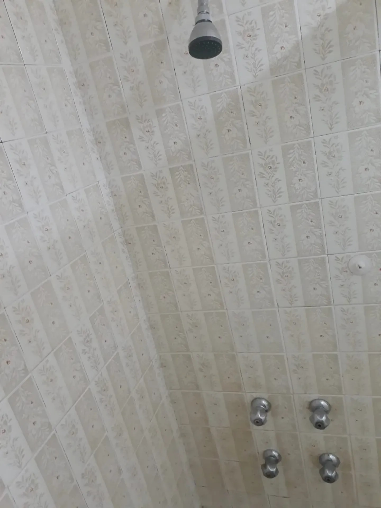 2-bedroom apartment with a bathtub in Rio de Janeiro — photo 18