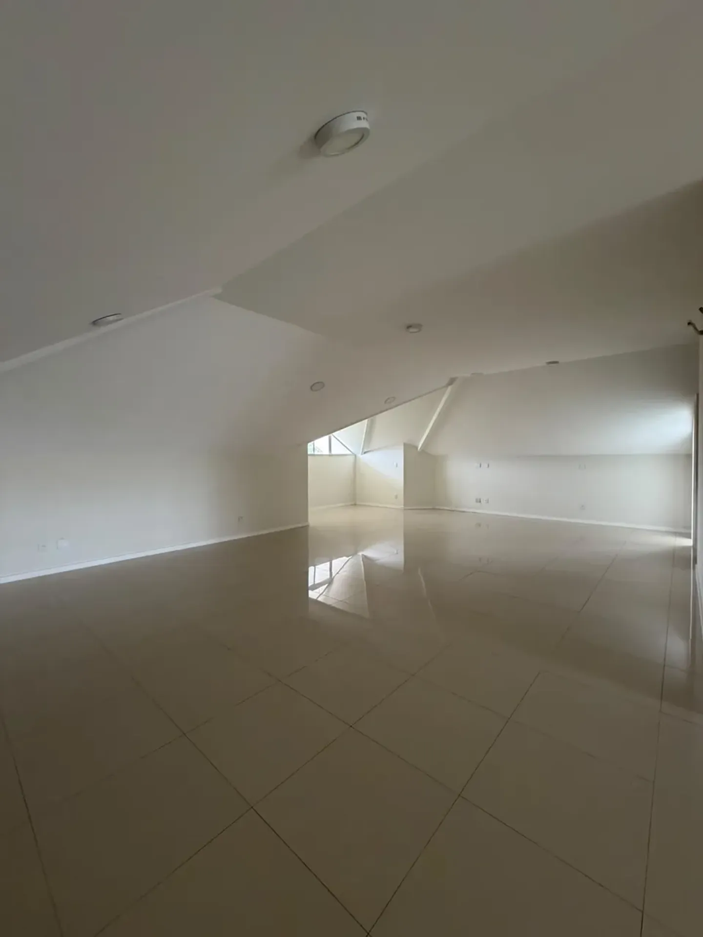 700 m² house with a garden and a bathtub — photo 15