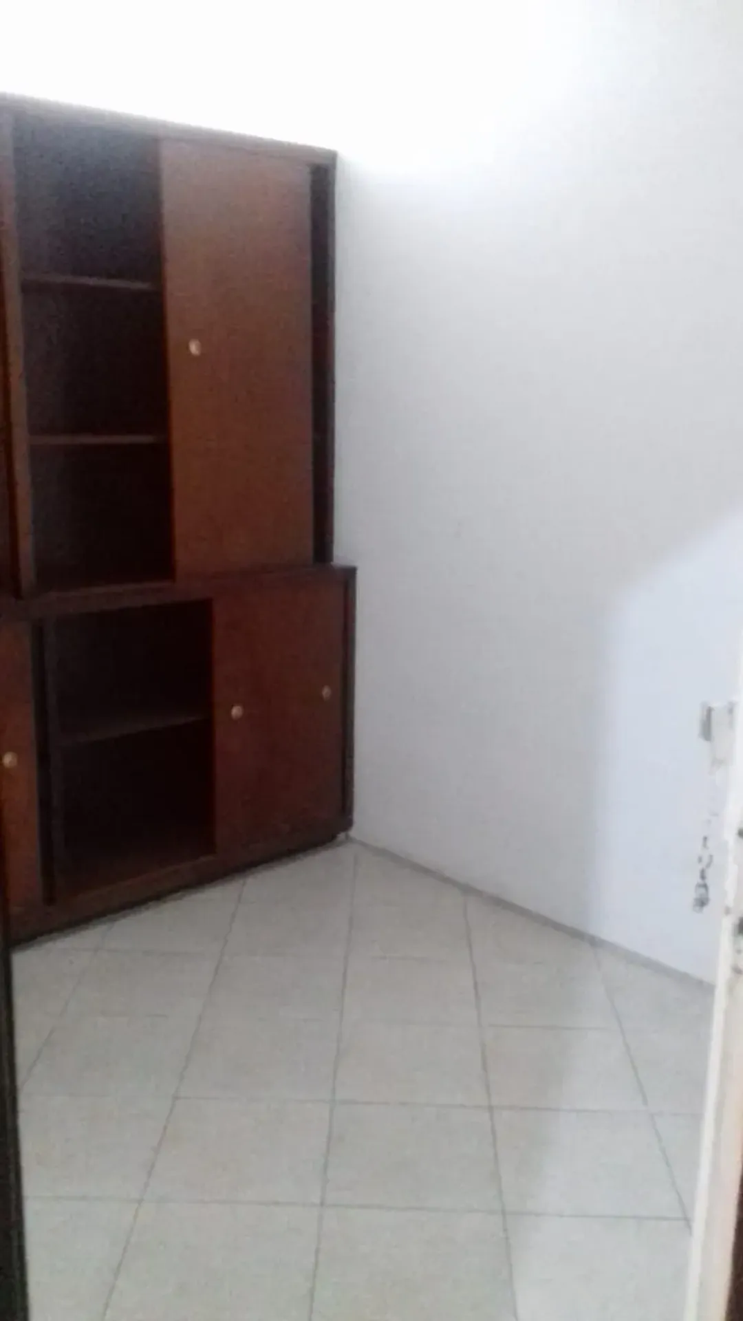 Mountain view in a one-bedroom apartment, 24 m² — photo 2
