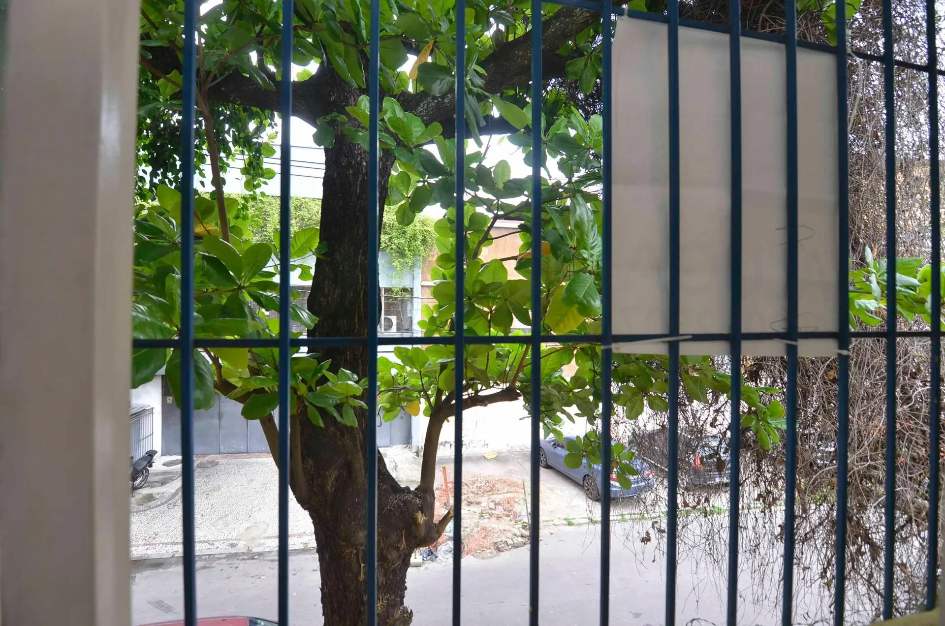 Casa de 3 dormitorios, 1 con baño propio, 120 m² — photo 35