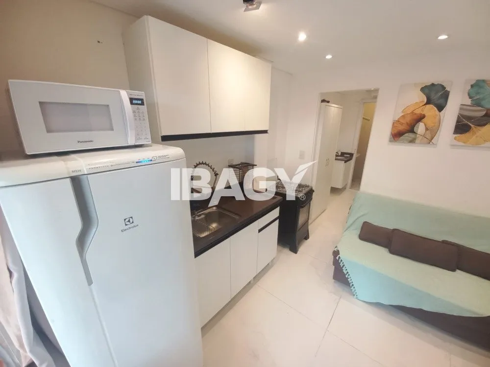 Furnished 1-bedroom apartment with open-plan kitchen