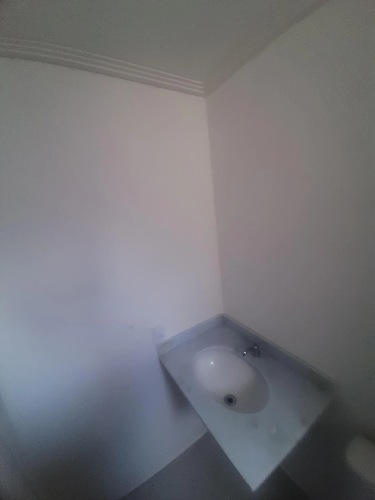 Apartamento mobiliado com 2 quartos e box de vidro — photo 7