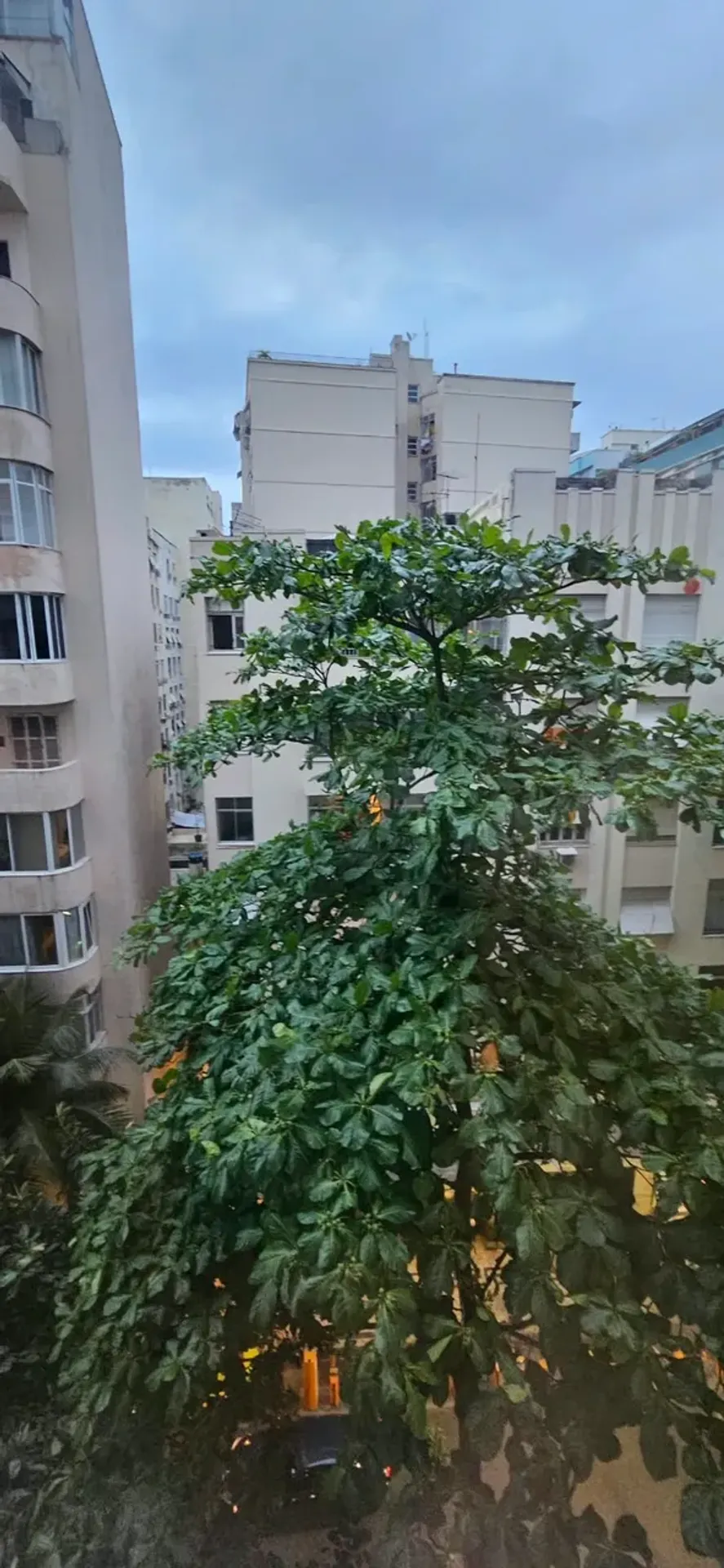 Apartamento de 2 quartos com piso de madeira ou laminado — photo 17