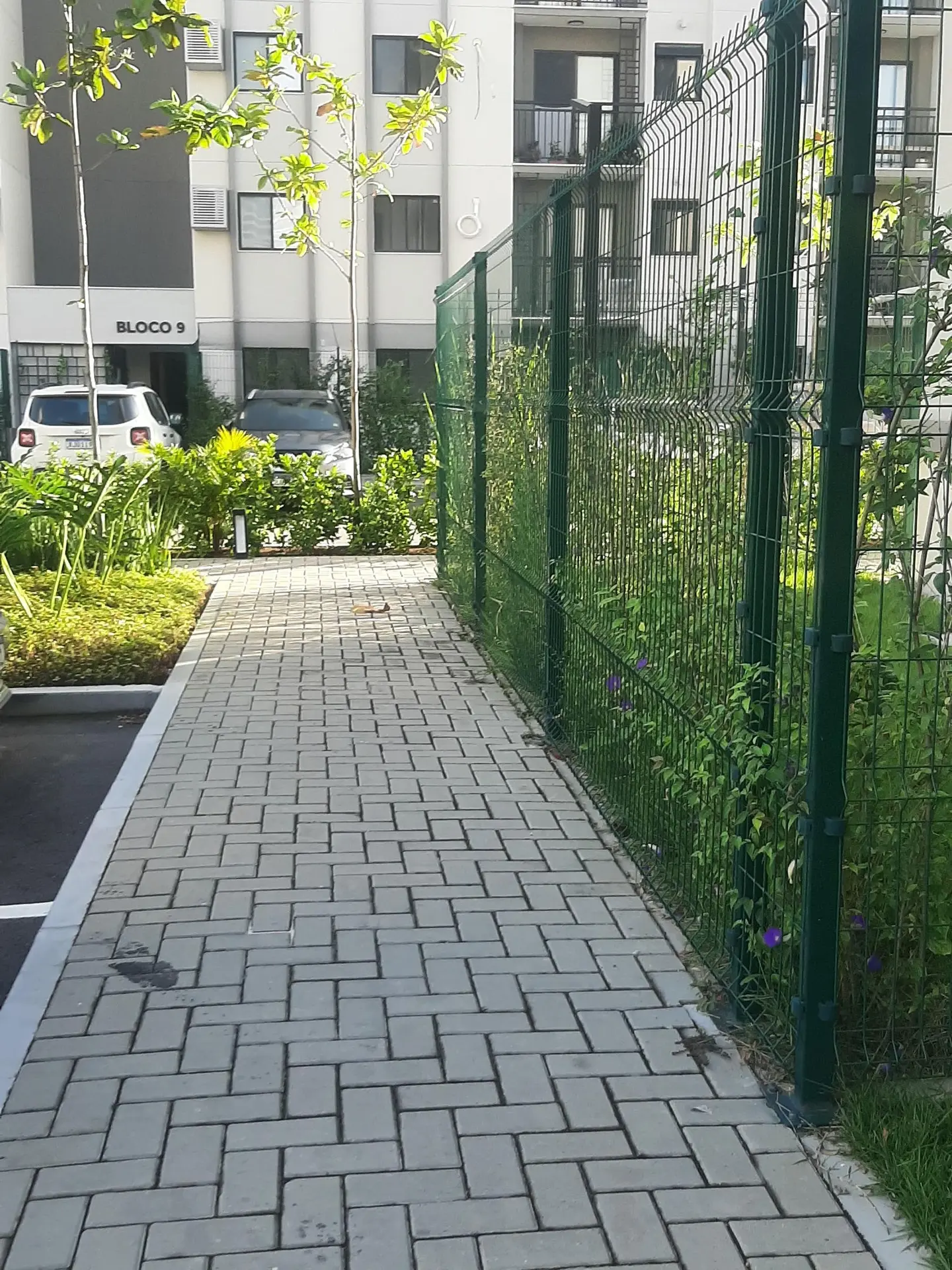 Apartamento mobiliado com 2 quartos e box de vidro — photo 20