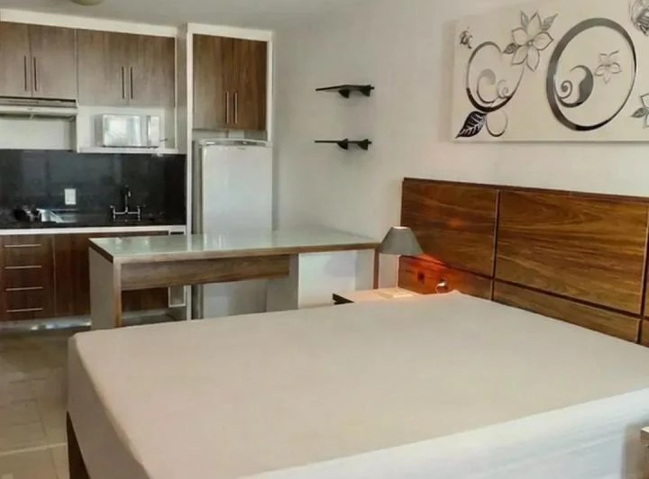 Мебльована студія 26 м² з 1 спальнею і 1 паркомісцем — photo 2