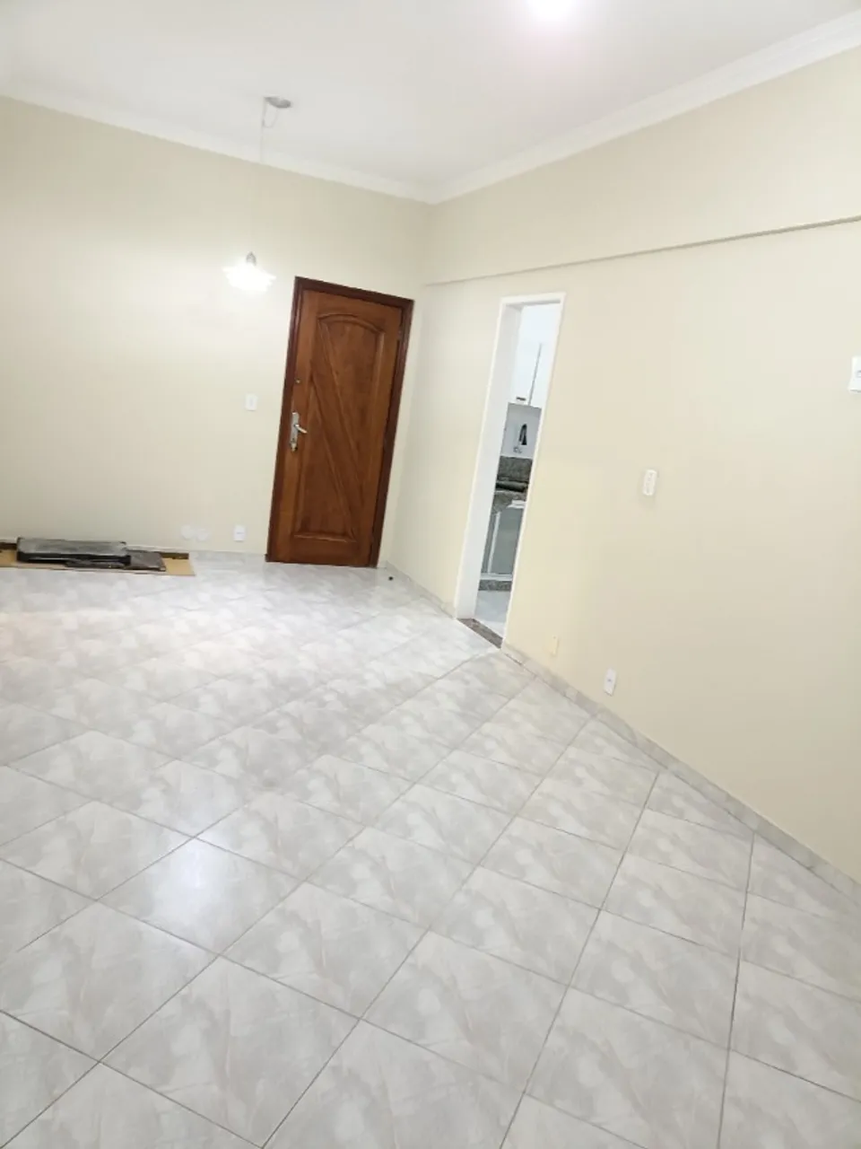 Apartamento de 2 quartos com box de vidro e 1 vaga — photo 3