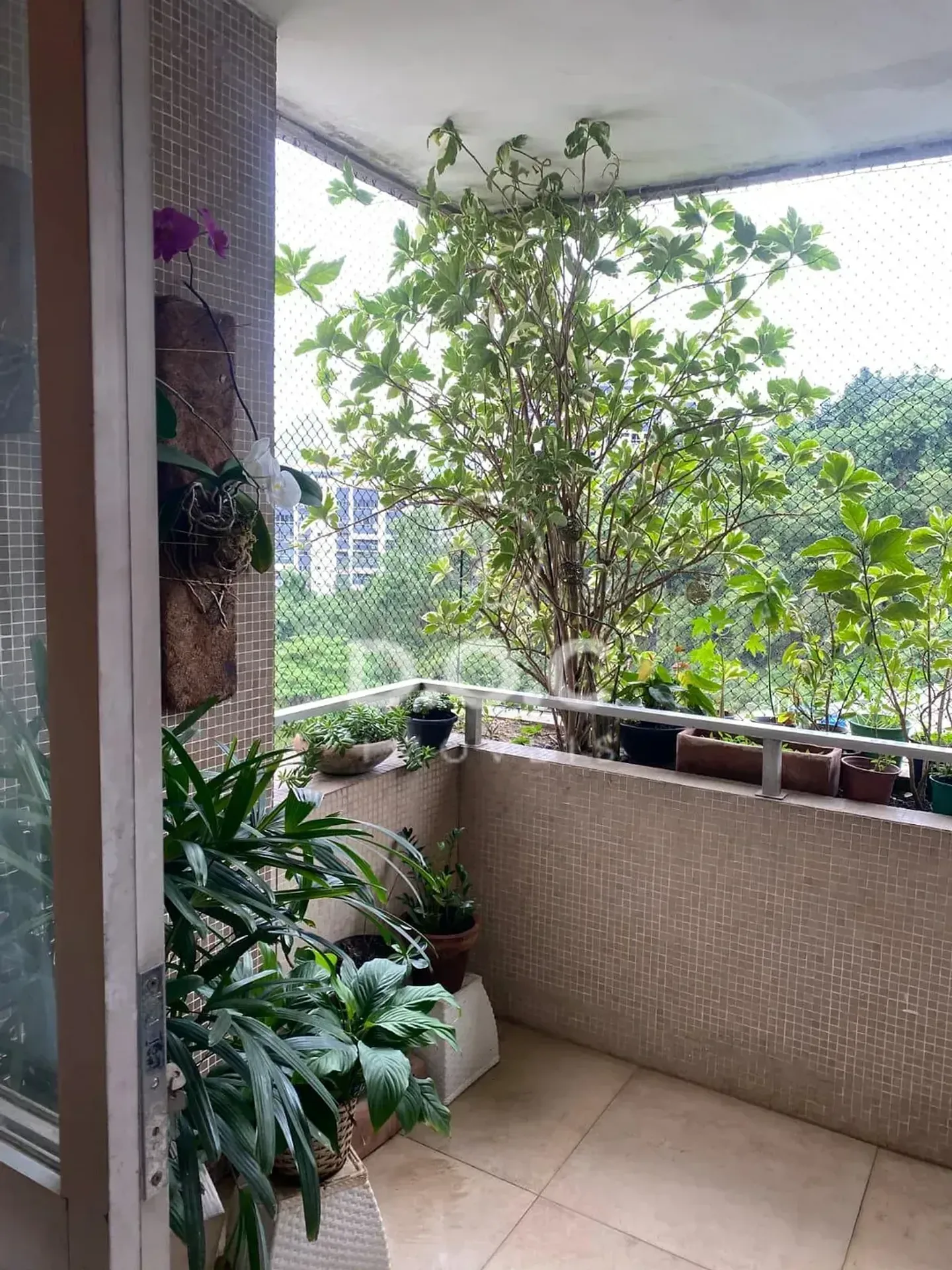 Apartamento mobiliado de 3 quartos com espaço de home office — photo 10