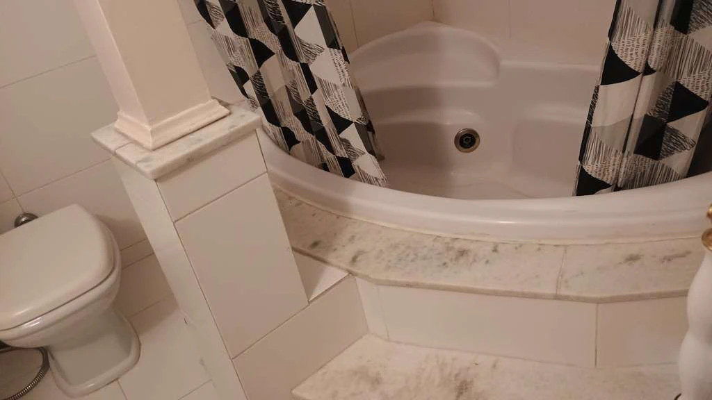 Furnished 51 m² apartment with 1 bedroom and 1 bathroom — photo 13