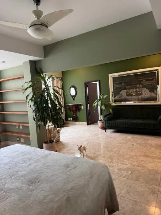 Apartamento de 484 m² com janelas do piso ao teto e banheira — photo 3