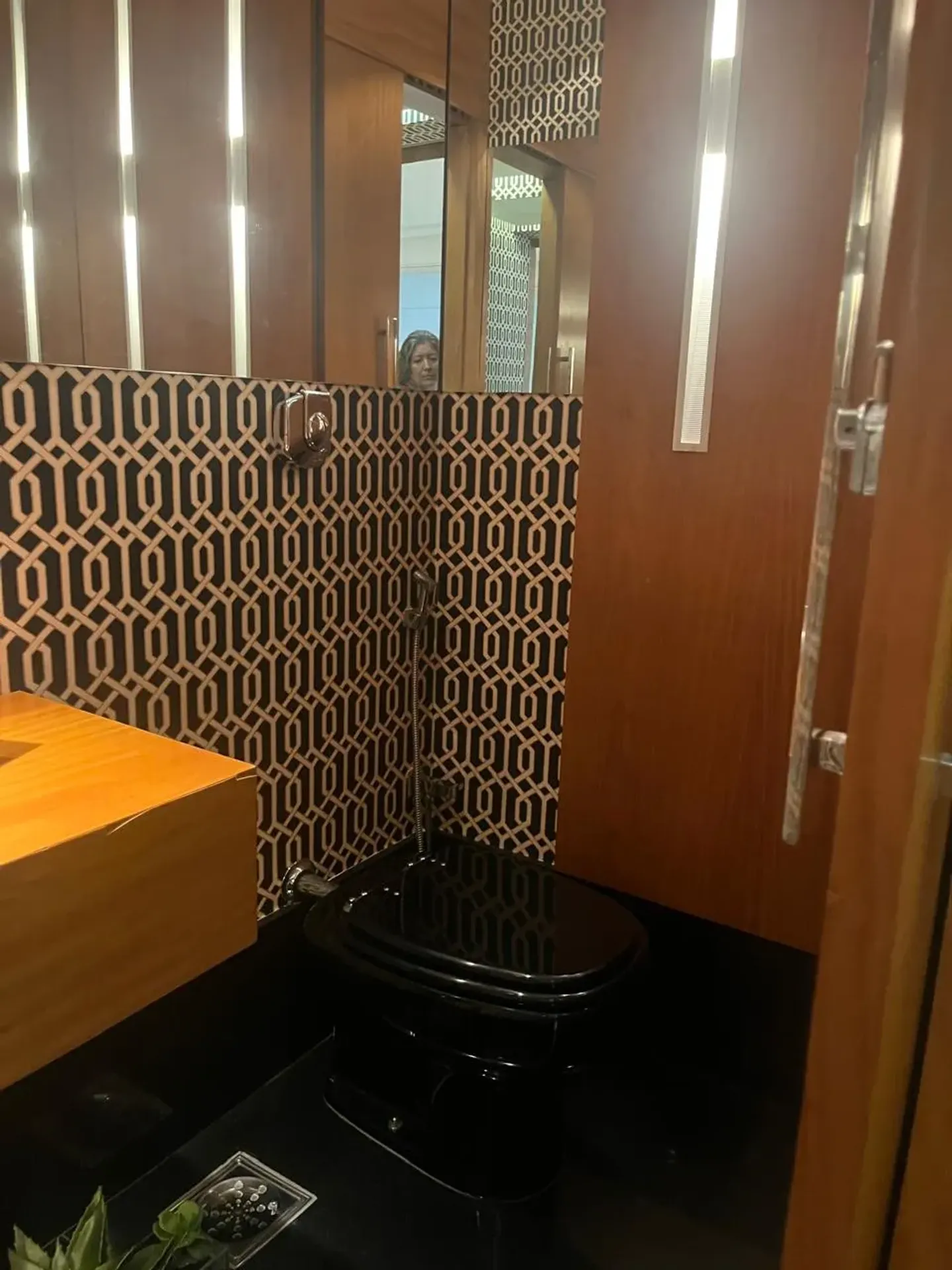 Furnished house with 5 en-suite bedrooms and 630 m² — photo 39