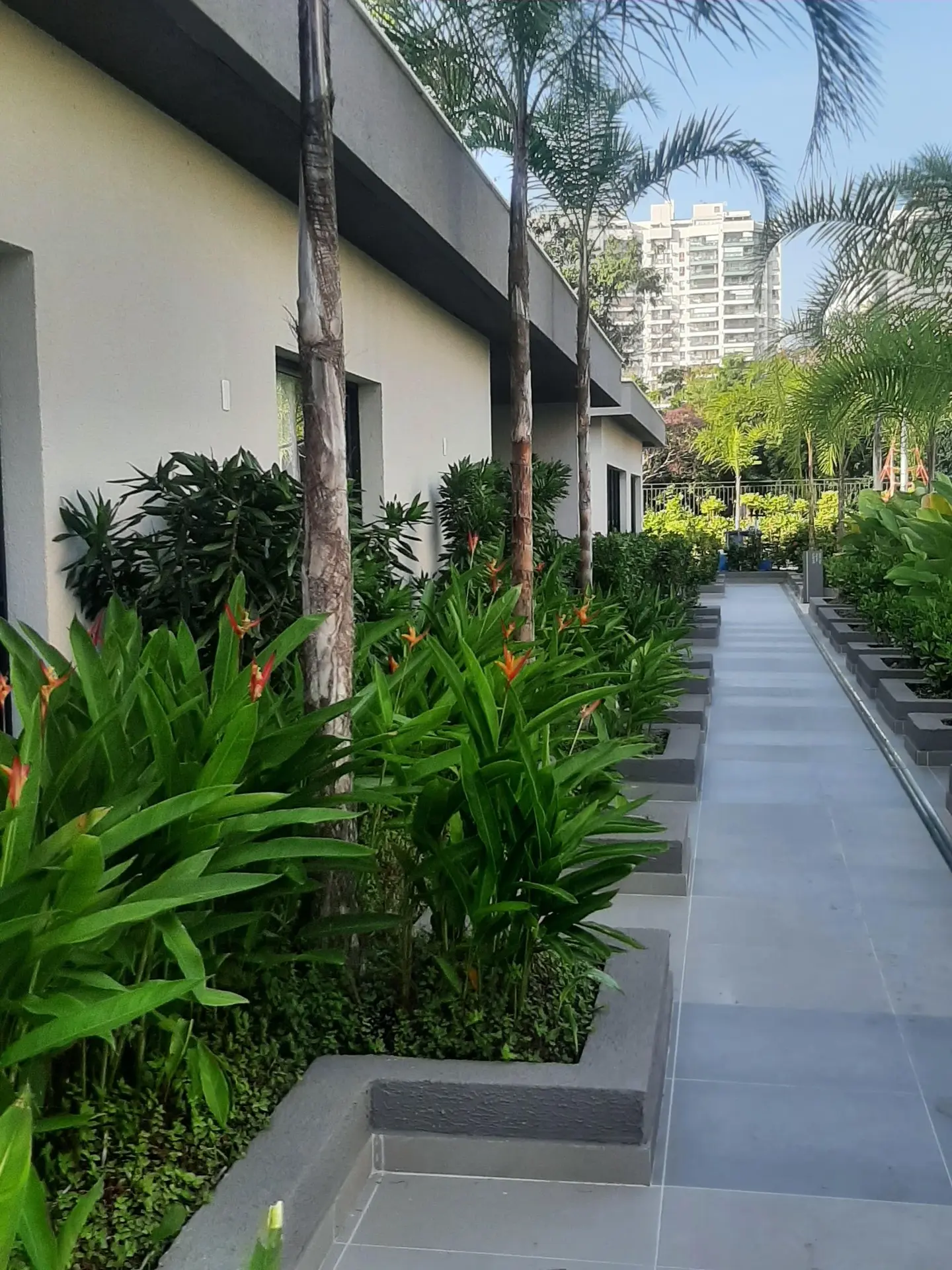 Apartamento mobiliado com 2 quartos e box de vidro — photo 10